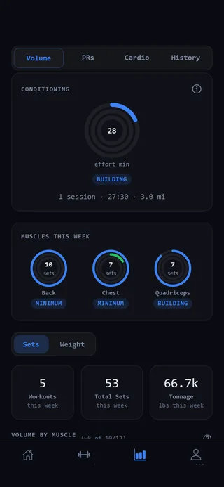Progress, Volume: the conditioning ring and this week’s muscle rings for back, chest and quads