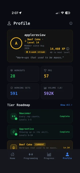 The Profile screen: level 14, 14,460 XP, a 4-week streak, and lifetime workouts, PRs and volume